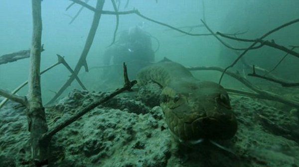 �й�����200�׾�����Ƶ������� ʮ�ֿ��²�������200�׳��Ĵ���