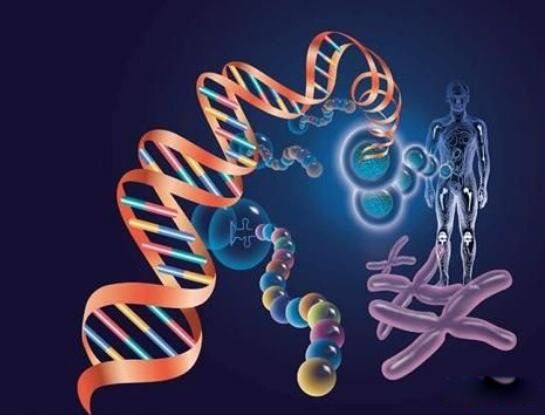 ����ŮӤղ��˹��Ĳ������� ����ŮӤ��ʵ�������Ѿ�����