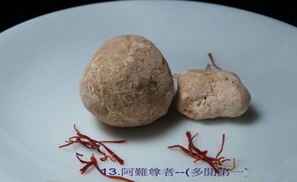 ��վ��ʺ�ʲô�˿� ���վ������湦Ч