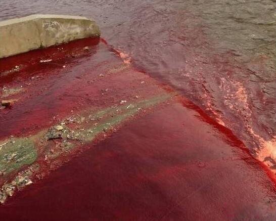 ӡ��Ѫ������ʵ�¼��� ӡ��Ѫ��֮������ô����