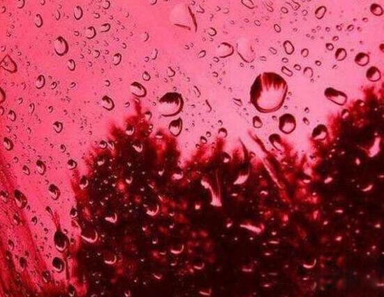 ӡ��Ѫ������ʵ�¼��� ӡ��Ѫ��֮������ô����