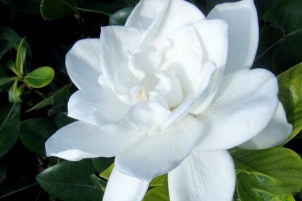 ���ӻ��Ļ����Ԣ�� ������ʮ����̵ĺ���