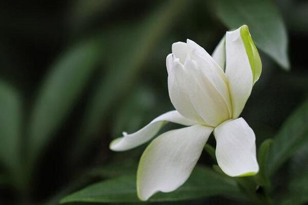 ���ӻ��Ļ����Ԣ�� ������ʮ����̵ĺ���