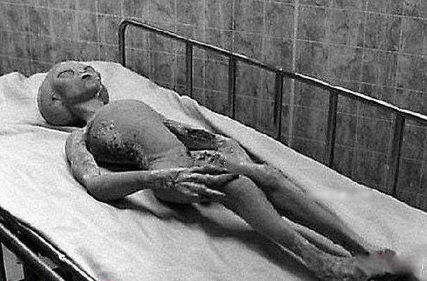 nasa���������˴��ڵ�������Ƶ֤�� nasa��������Ĵ�����