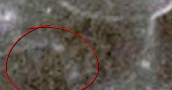 nasa���������˴��ڵ�������Ƶ֤�� nasa��������Ĵ�����