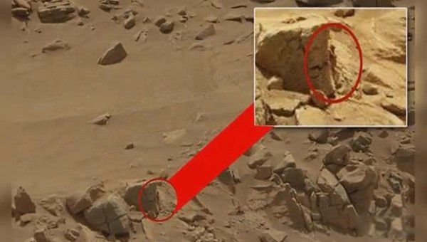 nasa���������˴��ڵ�������Ƶ֤�� nasa��������Ĵ�����