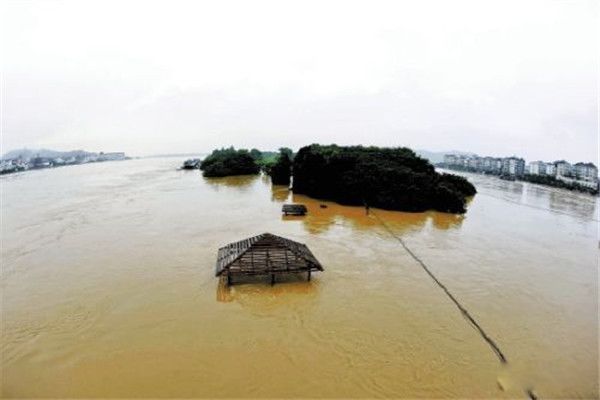 1983年中国发生了什么 你知道1983年发生的几个强烈的事情吗