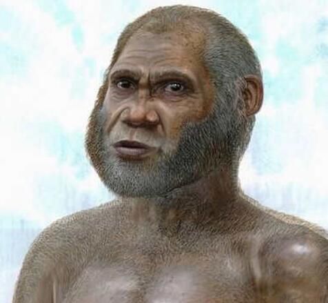 马鹿洞人化石是在哪发现的 马鹿洞人长相特征