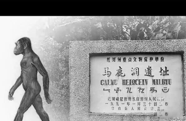 ��¹���˻�ʯ�����ķ��ֵ� ��¹���˳�������