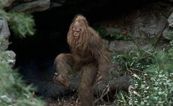 ����10��δ��֮������Щ �����޷�����,��С����!!!