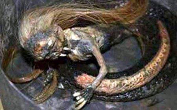 ����10��δ��֮������Щ �����޷�����,��С����!!!