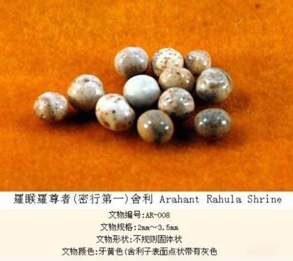 ����10��δ��֮������Щ �����޷�����,��С����!!!