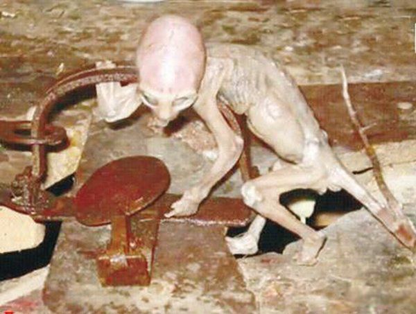 ����10��δ��֮������Щ �����޷�����,��С����!!!