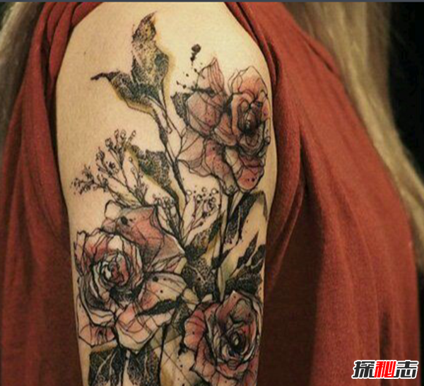 ��ˡ�����˹��ͼƬ��˭ ��ˡ�����˹������ǰ��Ƭ������Ŀ