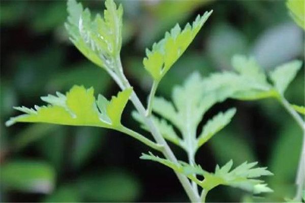 �������ʲôʱ�� ������ð���ϴ��