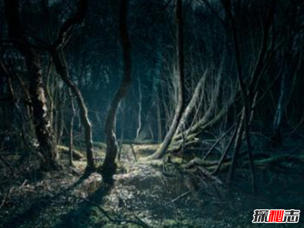 ʮ�����������¼���ʲô ������������ʮ�������¼��̵�