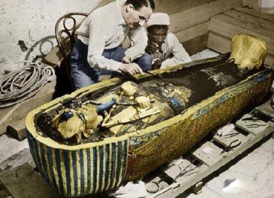 ����ʮ��ֲ�δ��֮�� ��������֮��Խ��Խ����