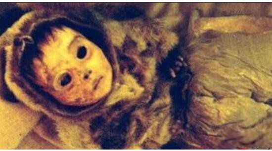 ����ʮ��ֲ�δ��֮�� ��������֮��Խ��Խ����