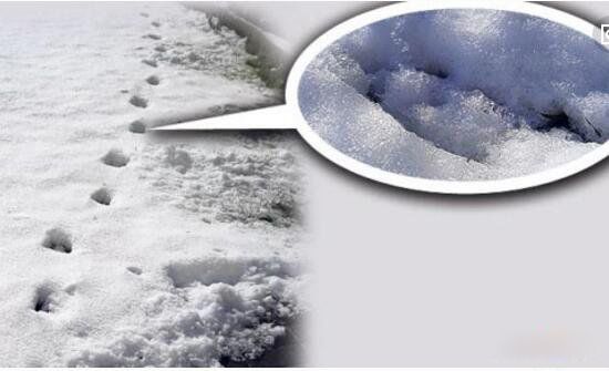 ����ʮ��ֲ�δ��֮�� ��������֮��Խ��Խ����