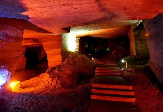 ����ʮ��ֲ�δ��֮�� ��������֮��Խ��Խ����