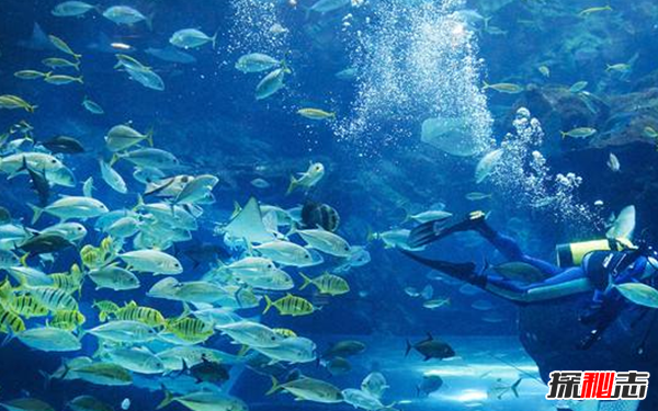 �����ж�ֲ� �������ֲ��ĵط�����Щ����