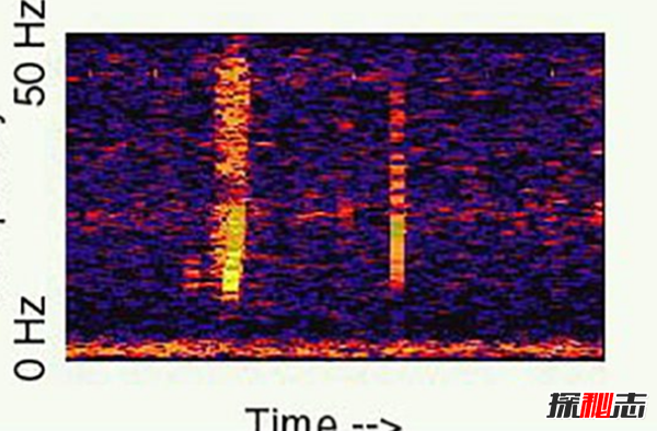 �����ж�ֲ� �������ֲ��ĵط�����Щ����