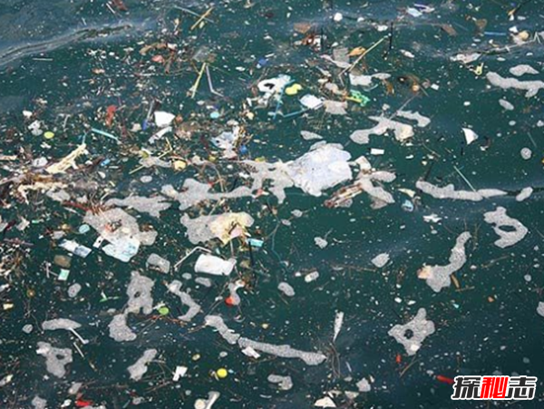 �����ж�ֲ� �������ֲ��ĵط�����Щ����