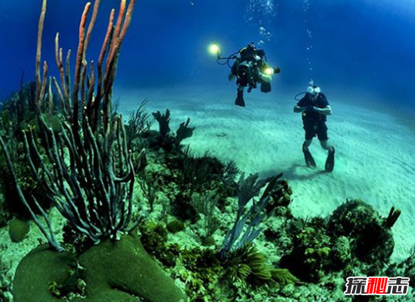 �����ж�ֲ� �������ֲ��ĵط�����Щ����