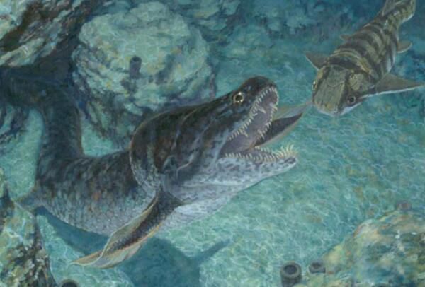 צ����������ʲôʱ�� צ���������ж�����