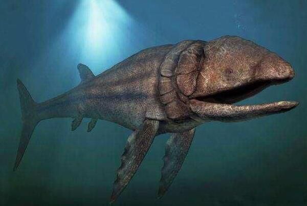 צ����������ʲôʱ�� צ���������ж�����