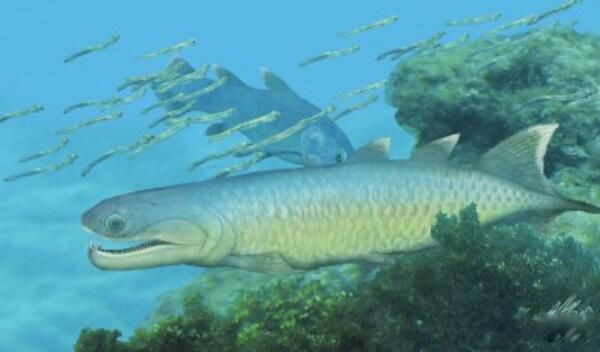 צ����������ʲôʱ�� צ���������ж�����