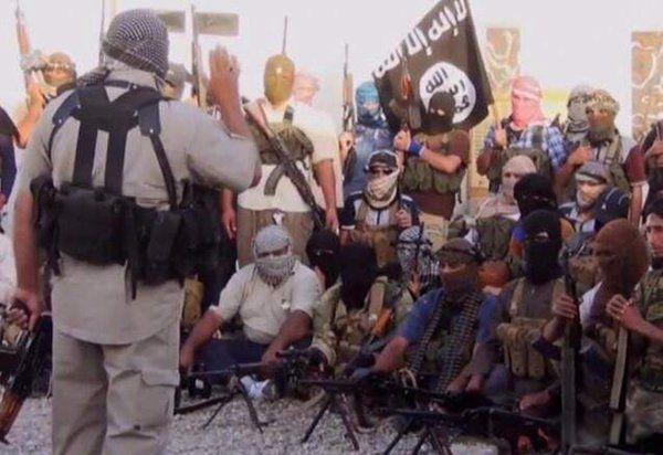 �ֲ���֯is������ô���� IS�ֲ���֯��Ҫ�ص�