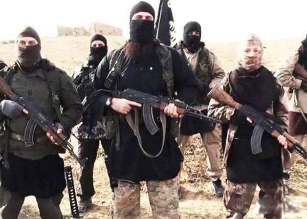 �ֲ���֯is������ô���� IS�ֲ���֯��Ҫ�ص�