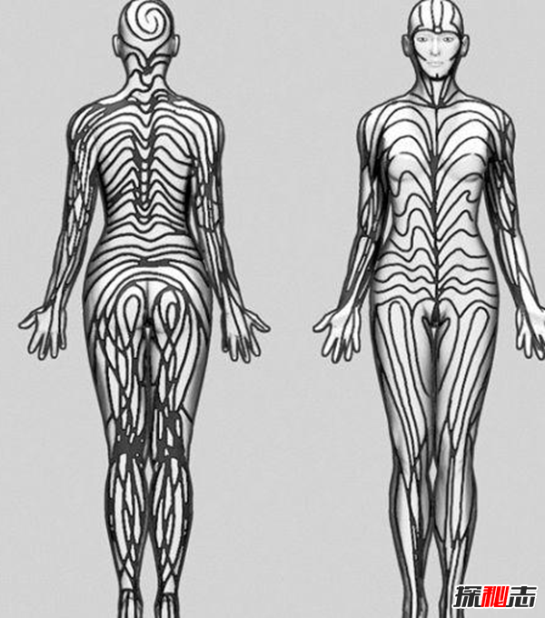 Blaschko����֢��ʲô�� �����������Ĺֲ�֢