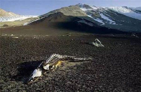 �����ƿ��µĵط�����Щ �����Ź�����ʷ����Ĵ��ڹ�