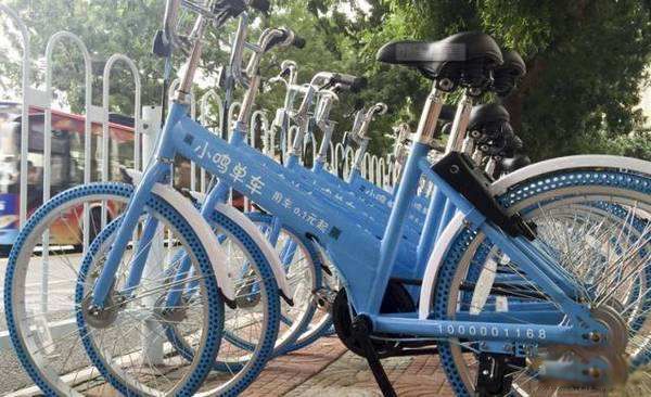 С������Ѻ��������2023�� ��ǷѺ���ж���Ǯ