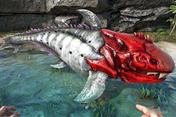 צ����������ʲôʱ�� צ���������ж�����