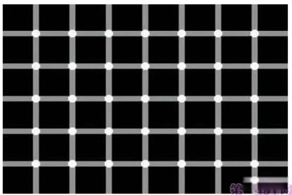 ��׼��˵��������� ���һ�ۿ�����ʲô��