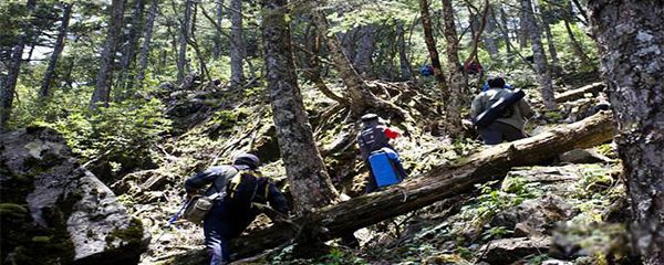 ��ũ�������ȥ���� ��ũ���Ϊ�α���Ϊ����