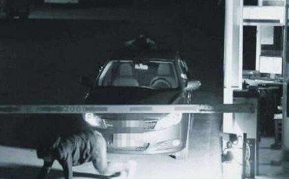 ����վ�ֹ��¼�:����ֽ������ ����վ�ֹ��¼��������