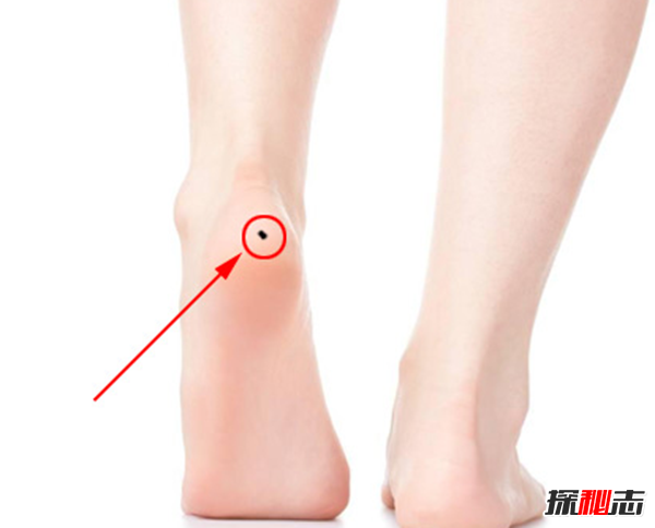 ȡ��ͼ��Щ�����ȡ ʮ�����붼����ʲôλ��