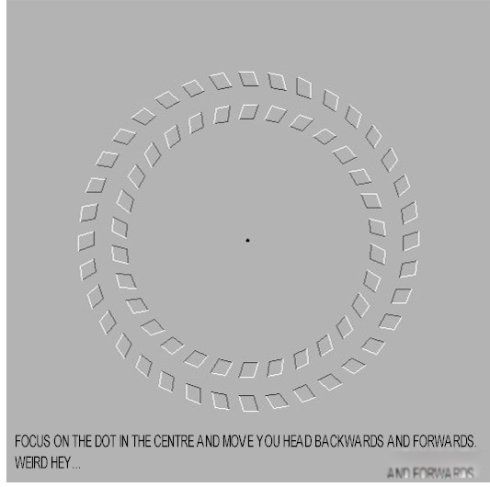 ���������̬�Ļ� ������������ʮ�����ֱ���ʲô