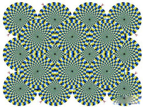 ���������̬�Ļ� ������������ʮ�����ֱ���ʲô