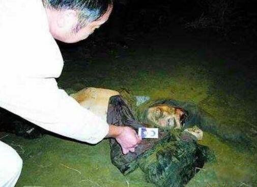 �й�10�󺷷����а񼰴º� �ױ�ɽΪʲô��ʮ�󺷷�֮��