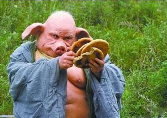 ���˽�Ĺ��Ĵ����� �����������˽�Ĺ�����Ǽ�