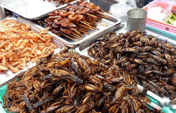 ʷ������ĵ�ʳ�����а� ����������ĵ�ʮ��ʳ�ﳤʲô������