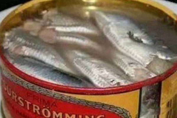 ʷ������ĵ�ʳ�����а� ����������ĵ�ʮ��ʳ�ﳤʲô������