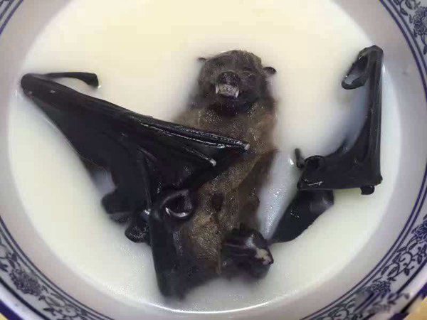 ʷ������ĵ�ʳ�����а� ����������ĵ�ʮ��ʳ�ﳤʲô������