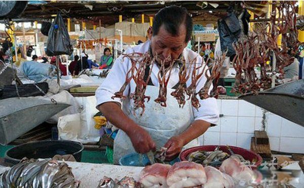 ʷ������ĵ�ʳ�����а� ����������ĵ�ʮ��ʳ�ﳤʲô������