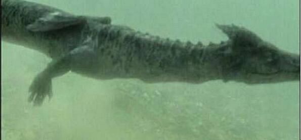 ȫ��ʮ��ˮ��֮�� ����˹��ˮ��30���Ƶ������